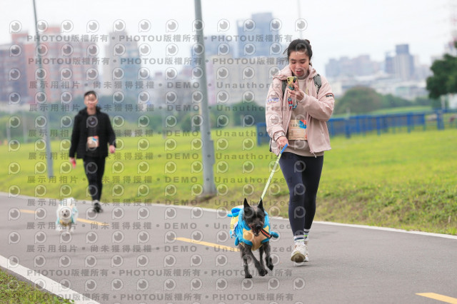 2024第六屆奔跑吧!毛小孩公益路跑
