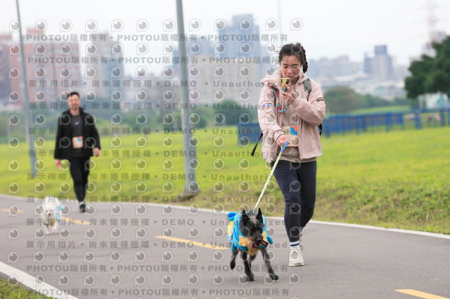 2024第六屆奔跑吧!毛小孩公益路跑