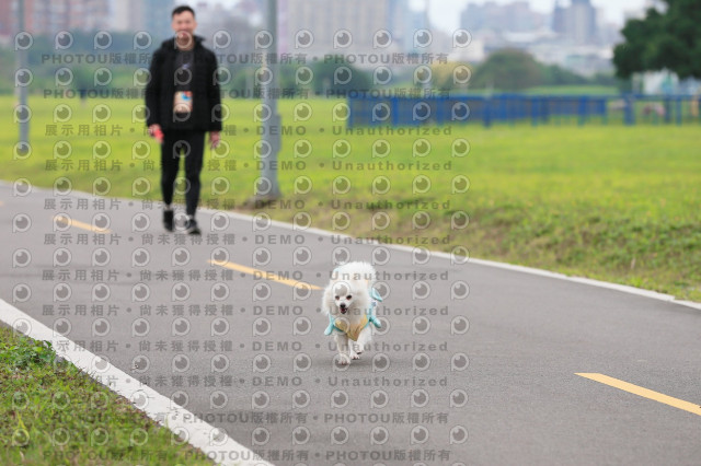 2024第六屆奔跑吧!毛小孩公益路跑