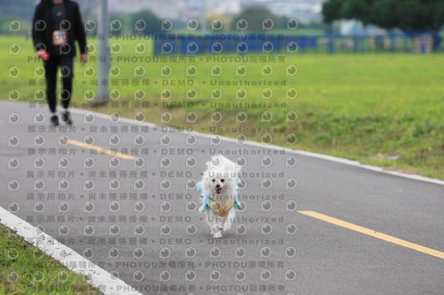 2024第六屆奔跑吧!毛小孩公益路跑
