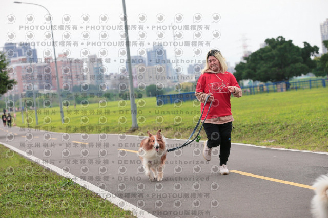 2024第六屆奔跑吧!毛小孩公益路跑