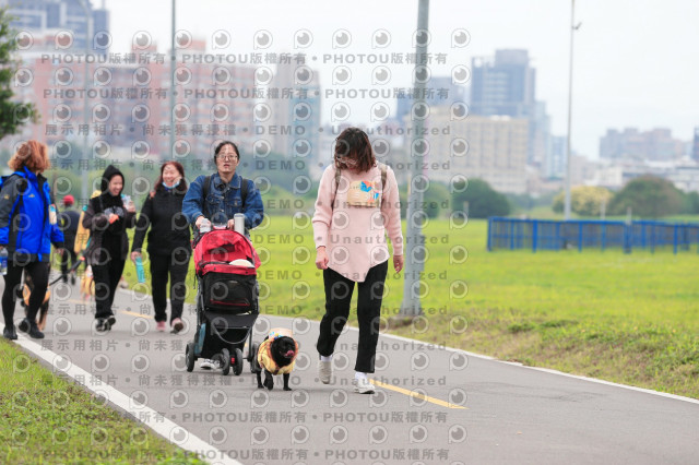 2024第六屆奔跑吧!毛小孩公益路跑