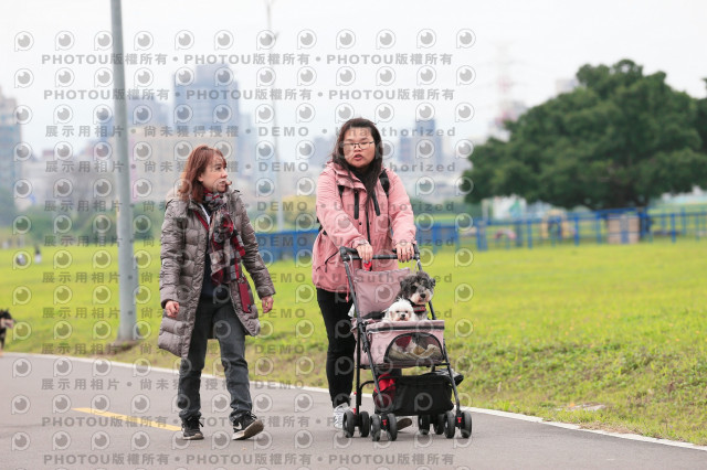 2024第六屆奔跑吧!毛小孩公益路跑