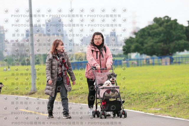 2024第六屆奔跑吧!毛小孩公益路跑