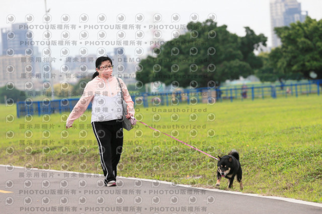 2024第六屆奔跑吧!毛小孩公益路跑