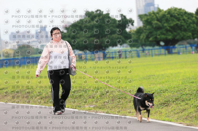 2024第六屆奔跑吧!毛小孩公益路跑