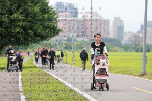 2024第六屆奔跑吧!毛小孩公益路跑