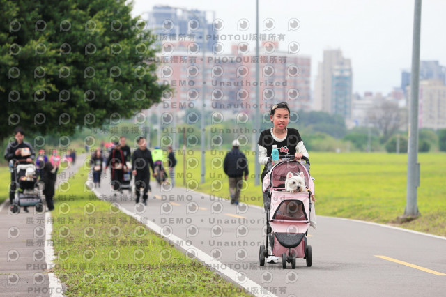 2024第六屆奔跑吧!毛小孩公益路跑