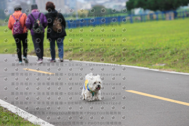 2024第六屆奔跑吧!毛小孩公益路跑