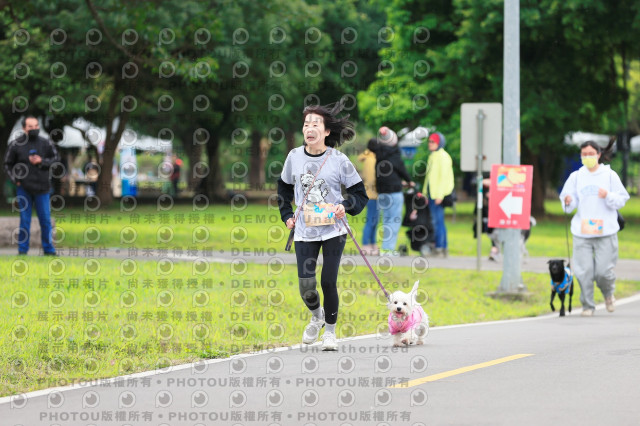 2024第六屆奔跑吧!毛小孩公益路跑
