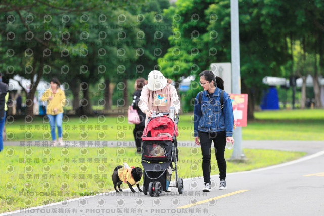 2024第六屆奔跑吧!毛小孩公益路跑