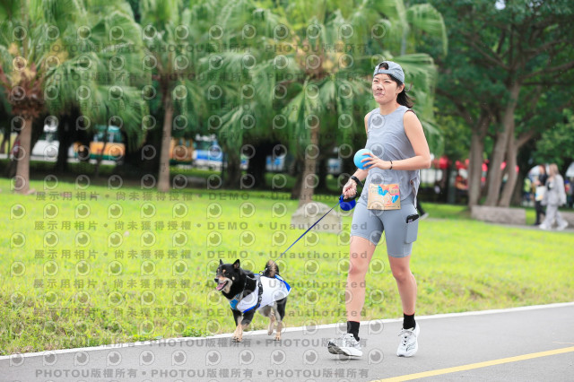 2024第六屆奔跑吧!毛小孩公益路跑