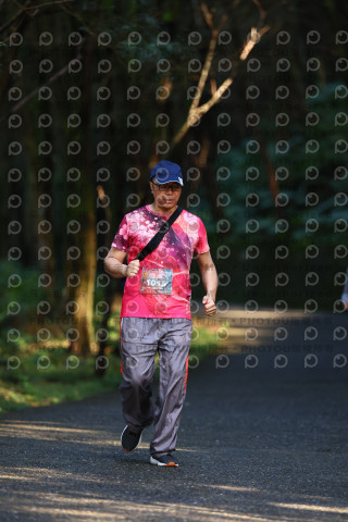 2025宜蘭櫻花溫泉系列路跑-員山燈篙/大同牛鬥