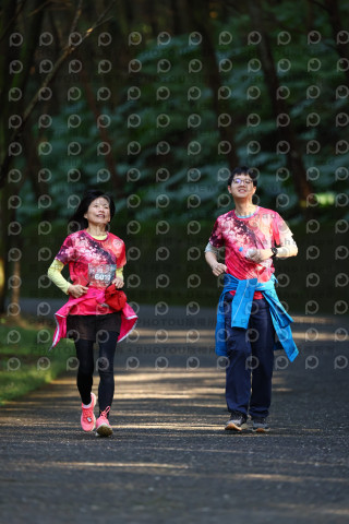 2025宜蘭櫻花溫泉系列路跑-員山燈篙/大同牛鬥