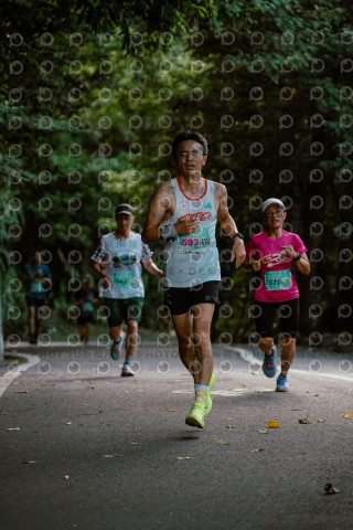 2025運動i台灣宜蘭茅埔城古道路跑