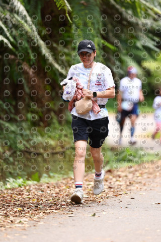 2025第二屆新竹五指山觀音媽超馬