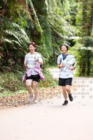 2025第二屆新竹五指山觀音媽超馬