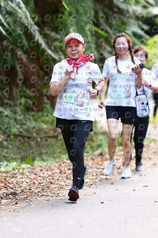 2025第二屆新竹五指山觀音媽超馬