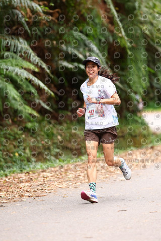2025第二屆新竹五指山觀音媽超馬