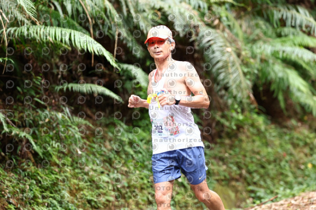 2025第二屆新竹五指山觀音媽超馬