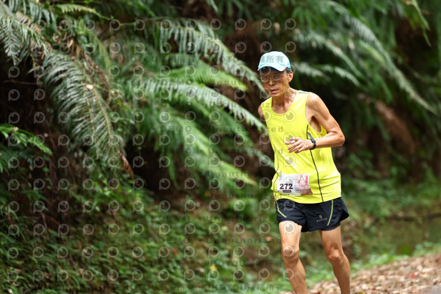 2025第二屆新竹五指山觀音媽超馬