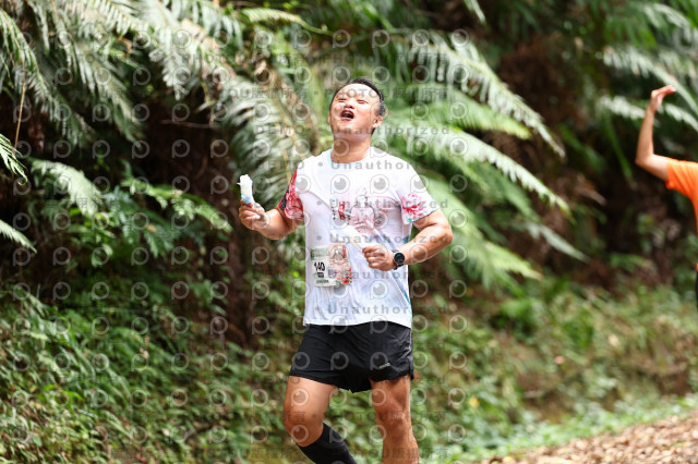2025第二屆新竹五指山觀音媽超馬