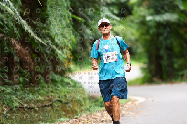 2025第二屆新竹五指山觀音媽超馬