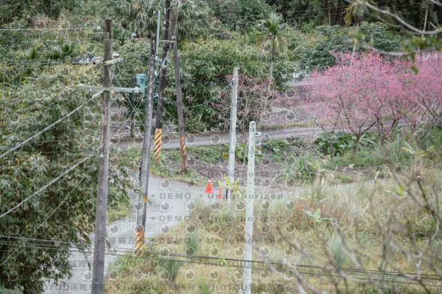 2026第二屆宜蘭大同櫻花馬拉松2026 YILAN SAKURA MARTHON