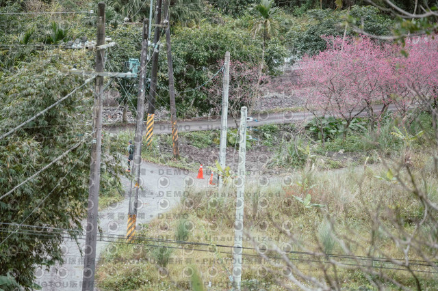 2026第二屆宜蘭大同櫻花馬拉松2026 YILAN SAKURA MARTHON