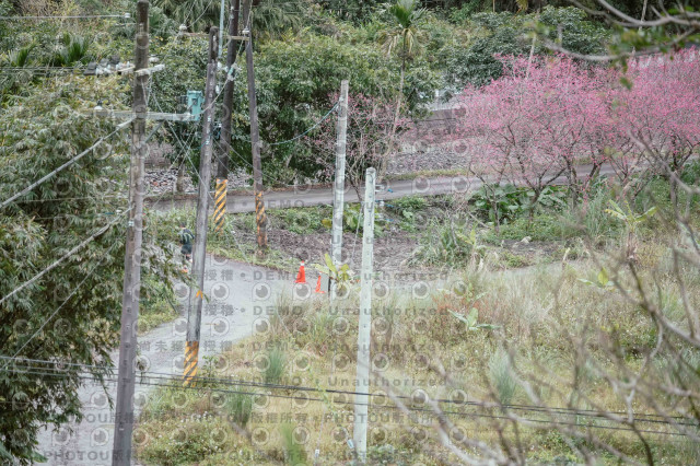 2026第二屆宜蘭大同櫻花馬拉松2026 YILAN SAKURA MARTHON