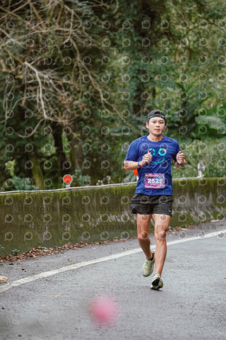 2026第二屆宜蘭大同櫻花馬拉松2026 YILAN SAKURA MARTHON