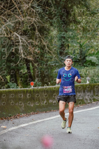 2026第二屆宜蘭大同櫻花馬拉松2026 YILAN SAKURA MARTHON