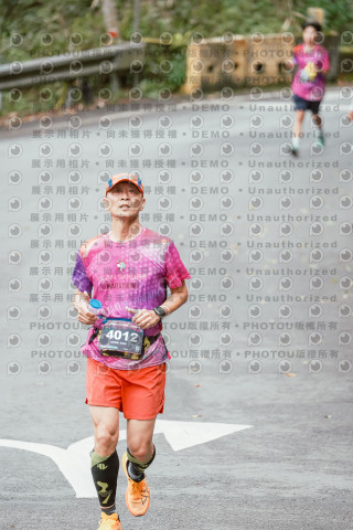 2026第二屆宜蘭大同櫻花馬拉松2026 YILAN SAKURA MARTHON