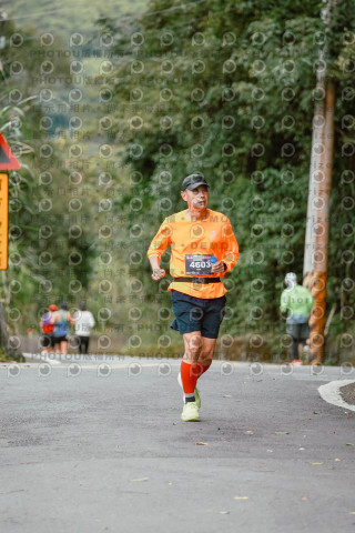 2026第二屆宜蘭大同櫻花馬拉松2026 YILAN SAKURA MARTHON