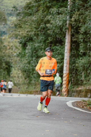 2026第二屆宜蘭大同櫻花馬拉松2026 YILAN SAKURA MARTHON