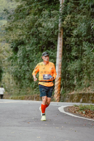 2026第二屆宜蘭大同櫻花馬拉松2026 YILAN SAKURA MARTHON