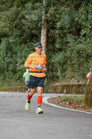 2026第二屆宜蘭大同櫻花馬拉松2026 YILAN SAKURA MARTHON