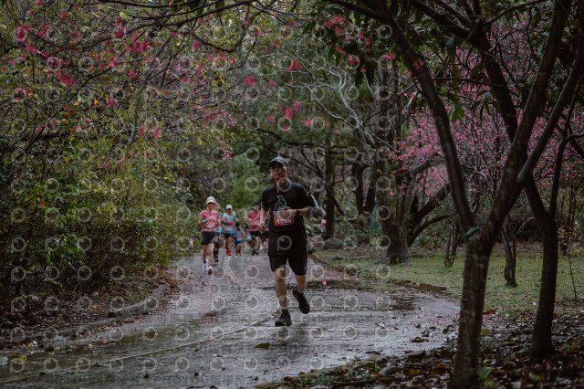 2026左岸竹東櫻花馬拉松Zhudong Sakura Marathon