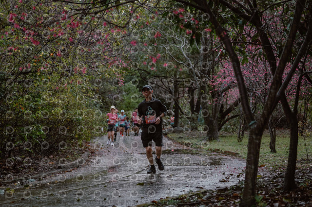 2026左岸竹東櫻花馬拉松Zhudong Sakura Marathon