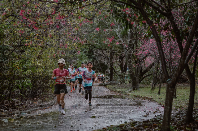 2026左岸竹東櫻花馬拉松Zhudong Sakura Marathon
