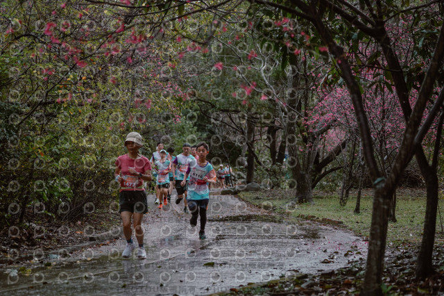 2026左岸竹東櫻花馬拉松Zhudong Sakura Marathon