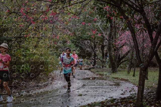 2026左岸竹東櫻花馬拉松Zhudong Sakura Marathon