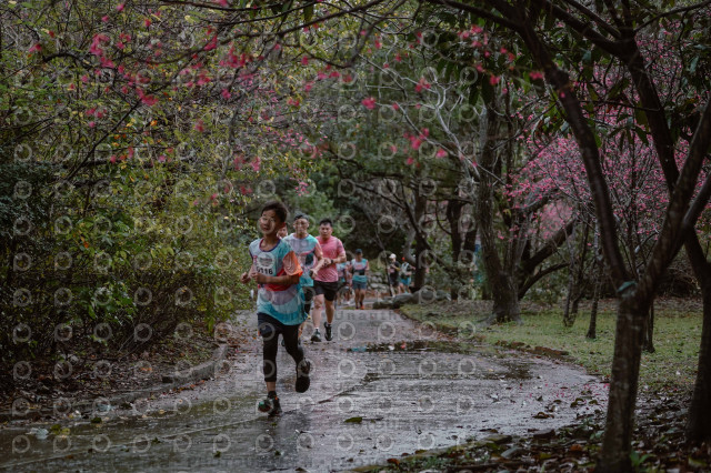 2026左岸竹東櫻花馬拉松Zhudong Sakura Marathon