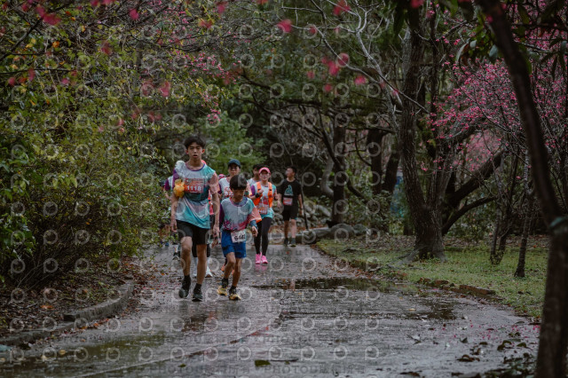 2026左岸竹東櫻花馬拉松Zhudong Sakura Marathon