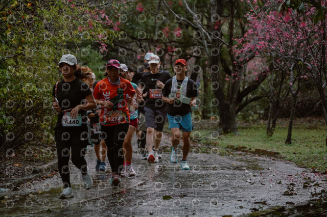 2026左岸竹東櫻花馬拉松Zhudong Sakura Marathon