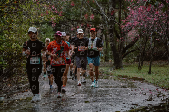 2026左岸竹東櫻花馬拉松Zhudong Sakura Marathon