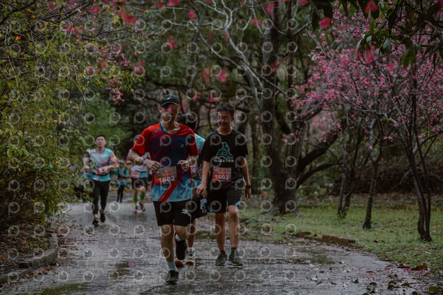 2026左岸竹東櫻花馬拉松Zhudong Sakura Marathon