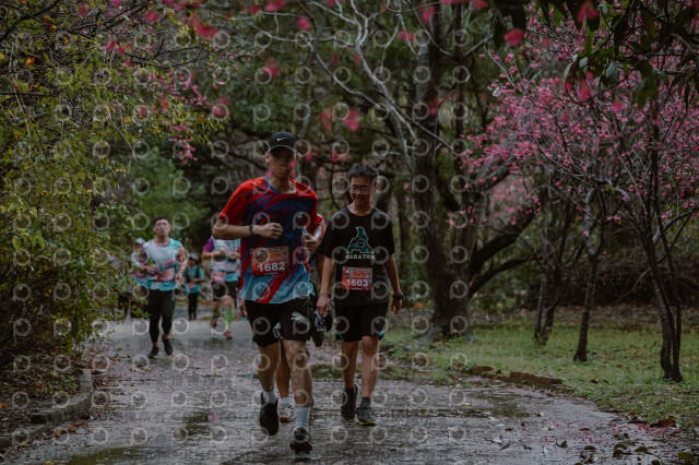 2026左岸竹東櫻花馬拉松Zhudong Sakura Marathon