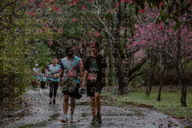 2026左岸竹東櫻花馬拉松Zhudong Sakura Marathon