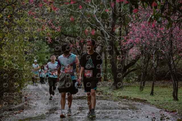 2026左岸竹東櫻花馬拉松Zhudong Sakura Marathon